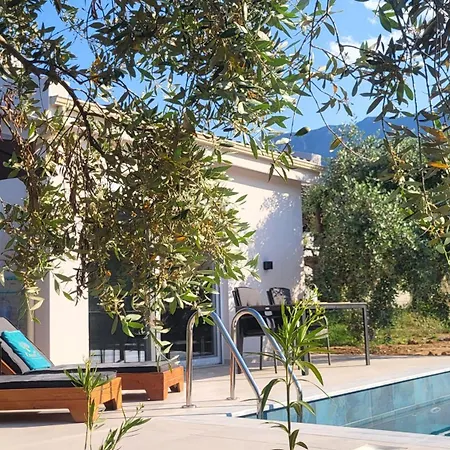 Casa O' - House With Private Pool Feriehus Potamia (Thasos)