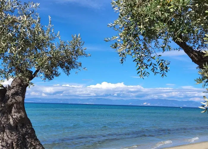 Casa O' - House With Private Pool Feriehus *