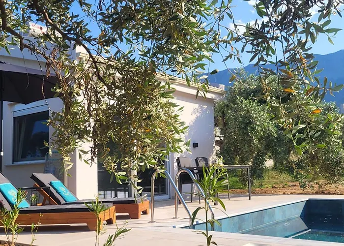 Casa O' - House With Private Pool Feriehus Potamia (Thasos)